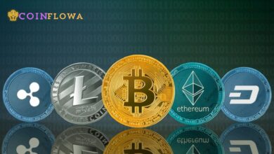 10 common cryptocurrencies and how they function