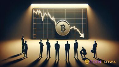 What Crypto Investors Need to Know as Bitcoin's Price Plummets