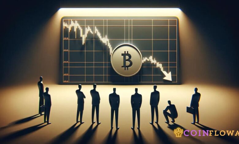 What Crypto Investors Need to Know as Bitcoin's Price Plummets