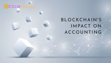 Blockchain and Accounting Revolutionizing the Financial World