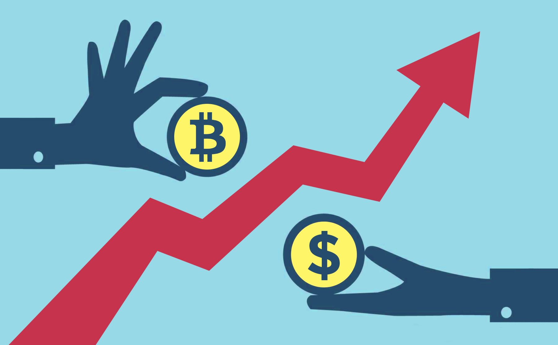 Bitcoin Holdings Growth 