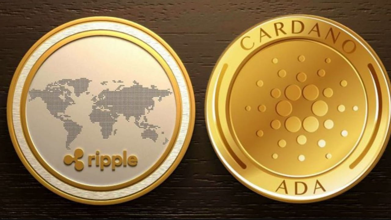 Ripple Cardano Alliance