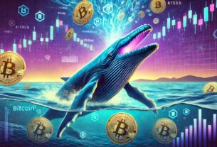 Bitcoin Whale Behavior