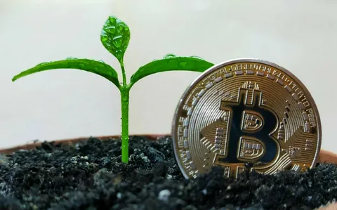 Dencun Spurs Ether & Bitcoin Growth