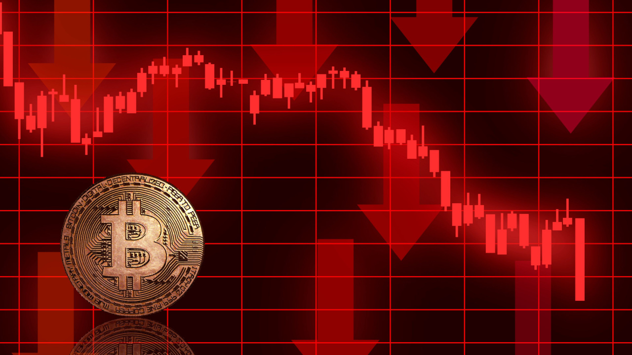 Bitcoin PPO Turns Red Analyst Predicts