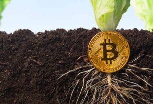 Bitcoin Market Shows Healthy Growth Not Overheating