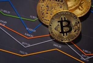 Bitcoin's Evolving Market Cycles Key Shifts and Future Outlook