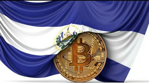 Countries Adopting Bitcoin