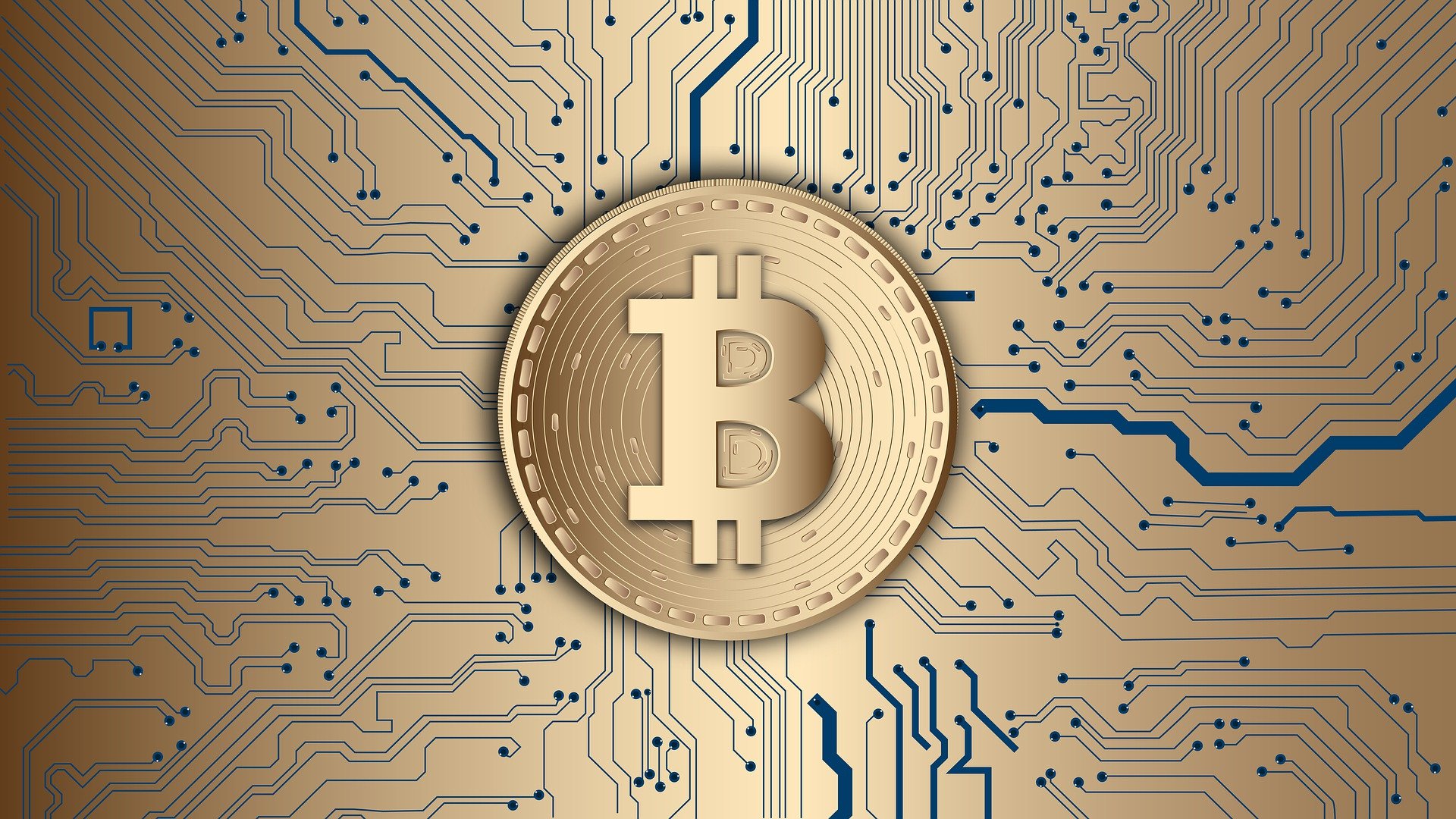 Cryptocurrency Movement