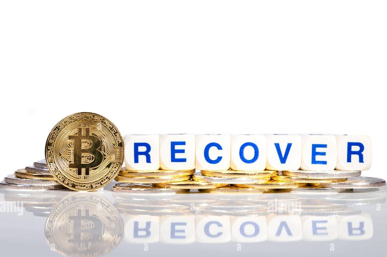 Crypto market recovery