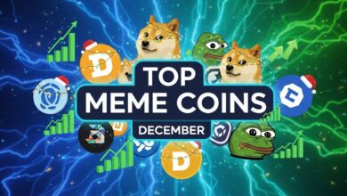 best meme coins to buy in December