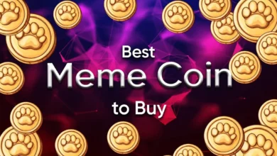 best meme coins to buy in December