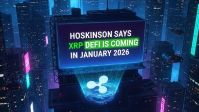 Hoskinson Says XRP DeFi Is Coming in January 2026