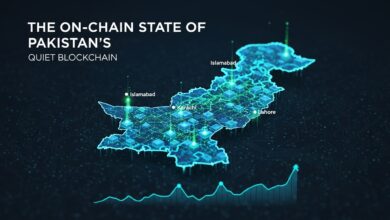 The On-Chain State of Pakistan’s Quiet Blockchain
