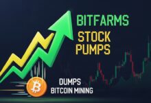 Bitfarms Stock Pumps as It Dumps Bitcoin Mining