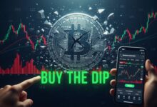 Crypto Crash Today Buy the Bitcoin Dip