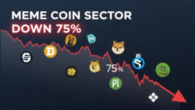 Meme Coin Sector Down 75%