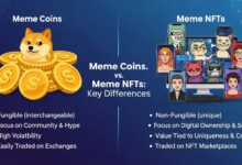 Meme Coins vs Meme NFTs Key Differences