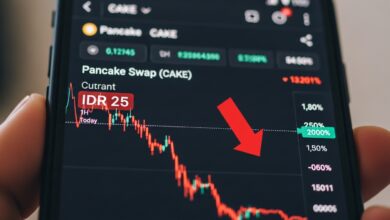 Pancake Swap Price Falls to IDR25